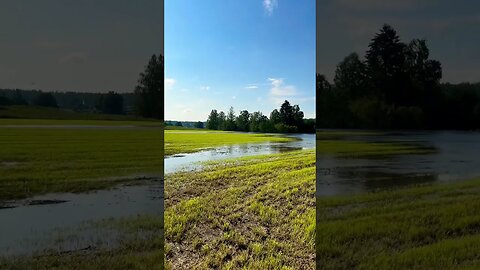 The Rain Has Flood Our Village