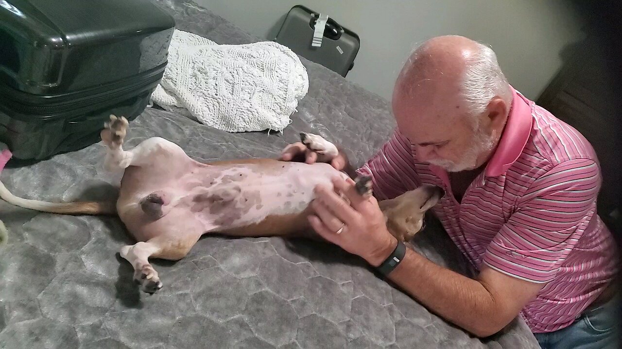 Lucky & Himz Daddy, Chuck - Oct. 6, 2023