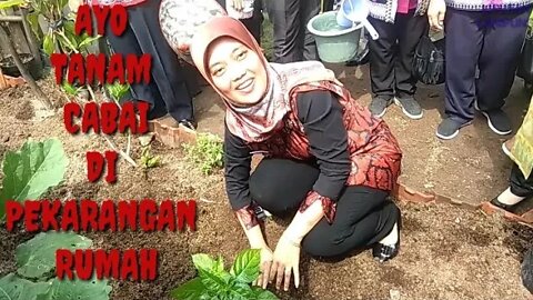 WAGUB NUNIK TANAM CABAI, AJAK WARGA MANDIRI PANGAN DENGAN MANFAATKAN LAHAN PEKARANGAN RUMAH