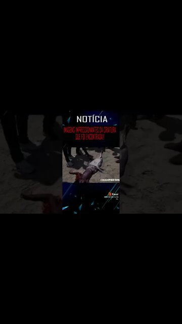 uma sereia no mar e capturado #shorts #maenatureza