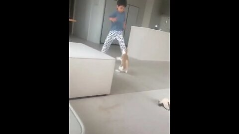 Aww, very lovely!! 🥰😺