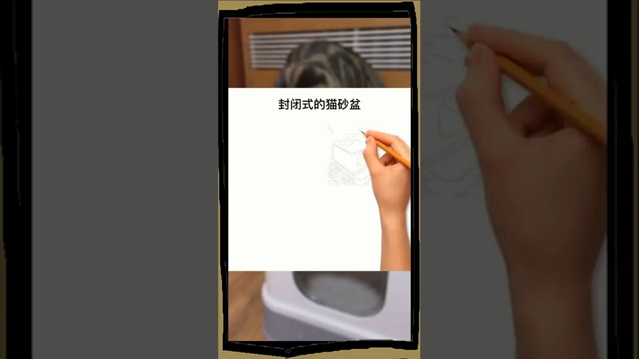 在家里为你的猫准备一个开放式的垃圾盆还是一个封闭式的垃圾盆是合适的?你的猫喜欢什么?可爱的宠物?猫?猫?喵喵星?科