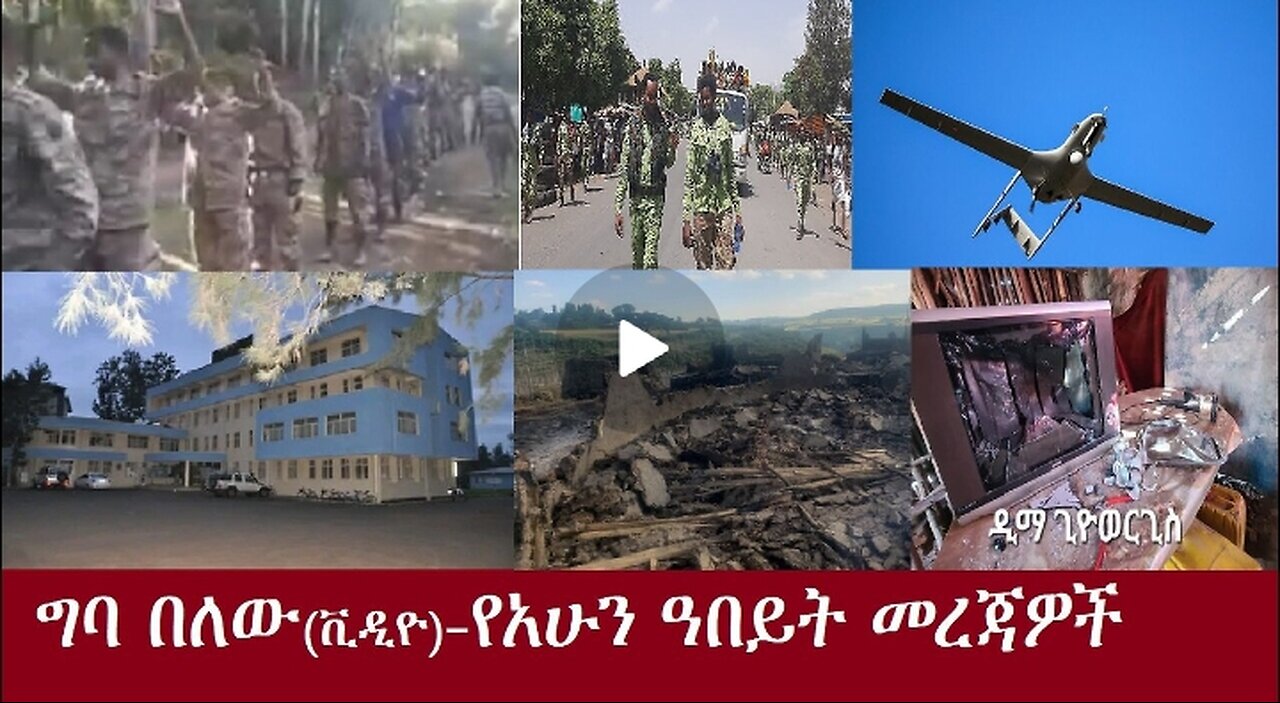 የአሁን ዓበይት መረጃዎች Nov 14,2024 #dere news #dera zena #zena tube #derejehabtewold #ethiopianews