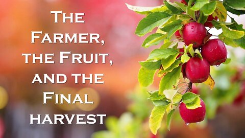 The Farmer, The Fruit, and The Final Harvest