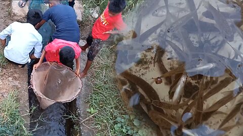 Fishing Like Pros: Talented Boys Reel in a Catch in the Village Field! amazing video