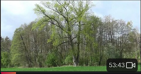 Zerstörung Bodendenkmal Turmhügel bei Hülseburg Mecklenburg 10. April 2024