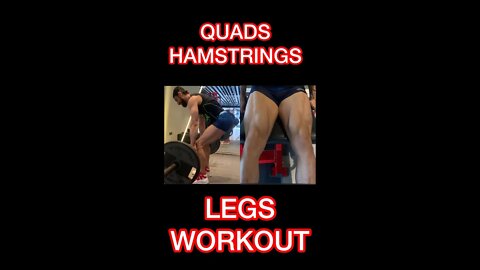 LEGS WORKOUT #shorts #youtubeshorts