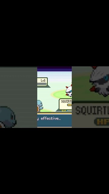 Pokémon Cloud White - Squirtle vs. Larvesta Gameplay