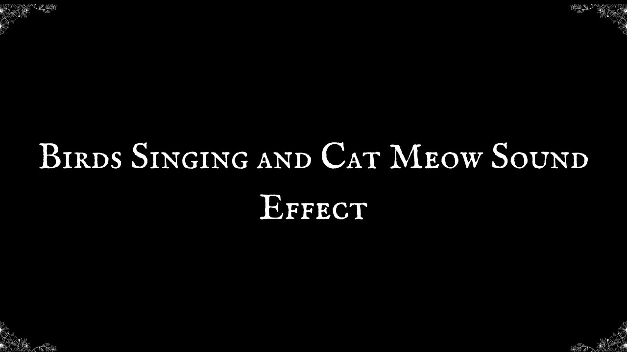 Birds Singing and Cat Meowing