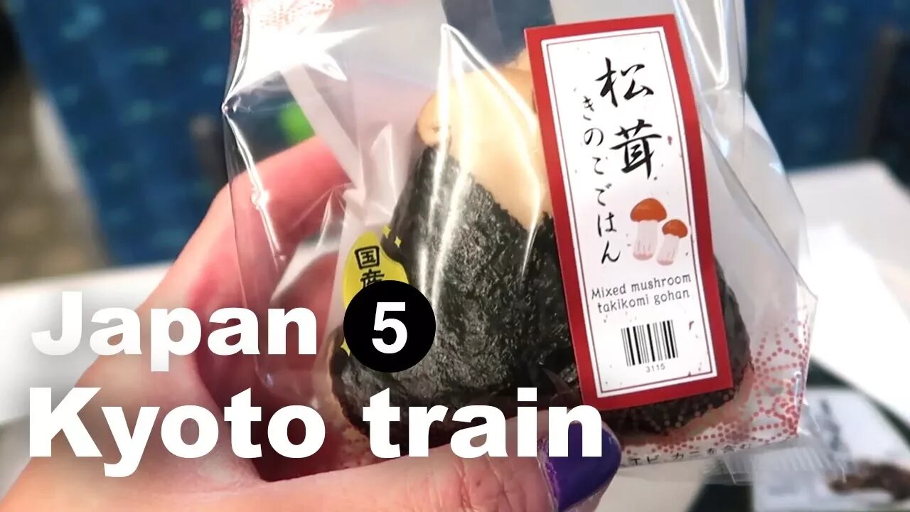 [Vegan goes to Japan #5 ] Kyoto via Shinkansen and the hidden ryokan