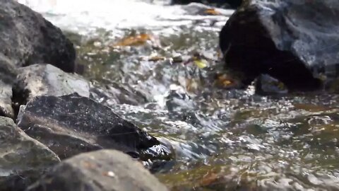 CREEK RIVER WITH A WATERFALL WATCH IN 4K