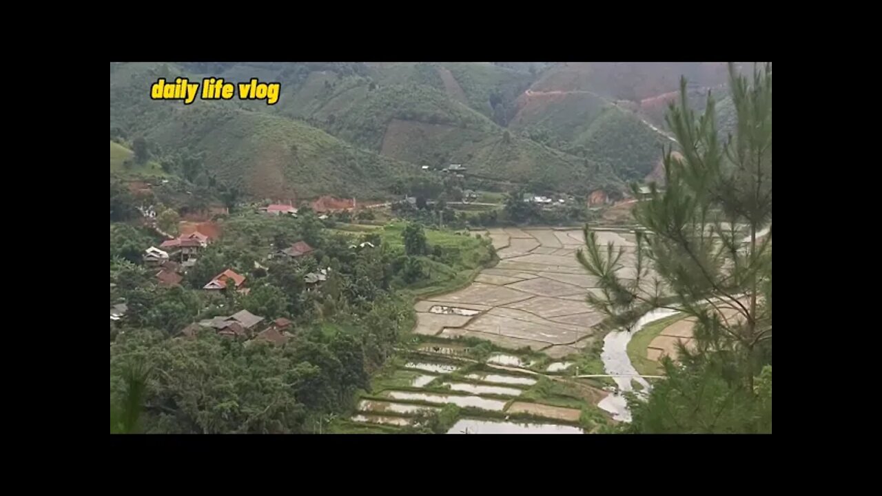 natural beauty of mountains and forests