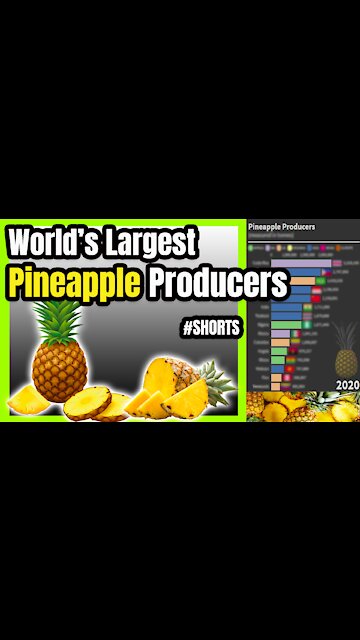 World's Top Pineapple Producers 🍍 📊