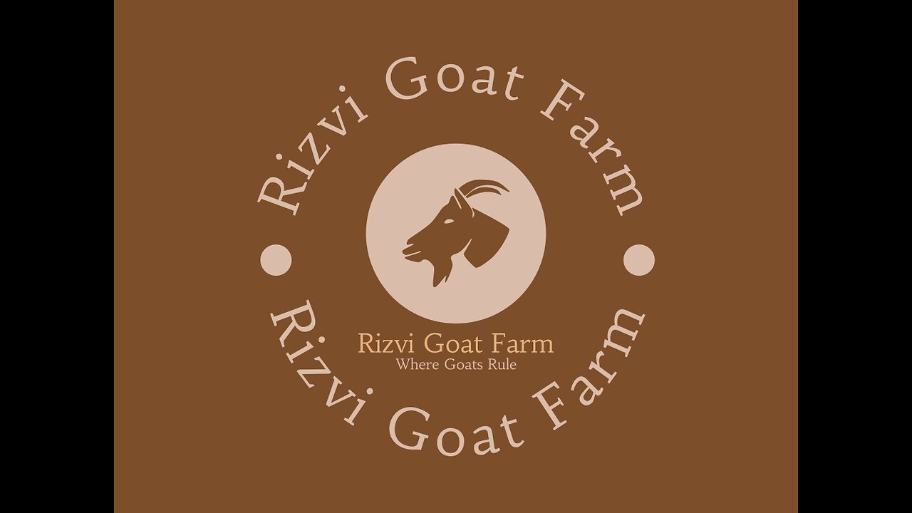 Barbari Goats|| Rizvi Goat Farm|| Lucknow Goats|| Goat Farming