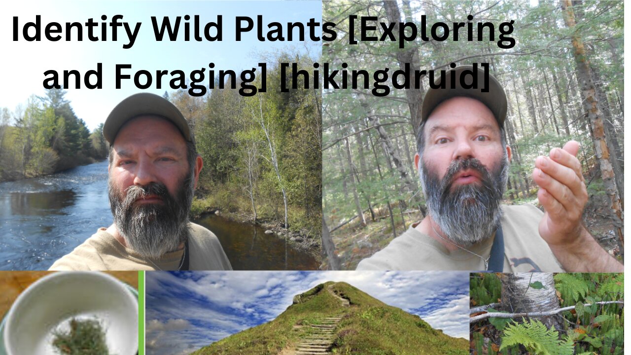 Identify Wild Plants [Exploring and Foraging] [hikingdruid]