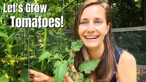 Tomato Care: Growing Healthy Tomato Plants for an Abundant Harvest