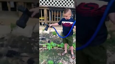 💦 We enjoy the morning watering, before we gather a daily harvest! #shorts #viral #tiktok