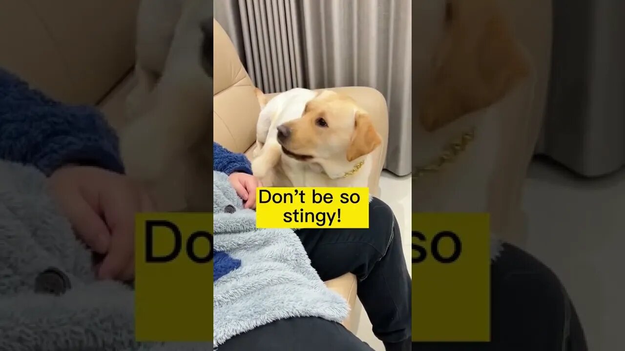 🔥 Don't Be So Stingy 🐶🐕 | Amazing Shorts 🔥 #short #shorts #viral