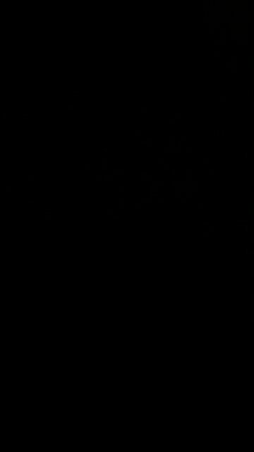 ￼ Biden to be removed via 25th amendment?