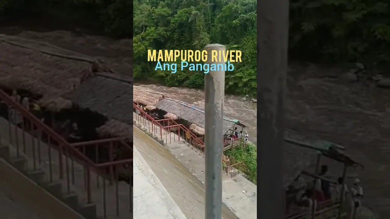 The Sweet & Danger on River Swimming