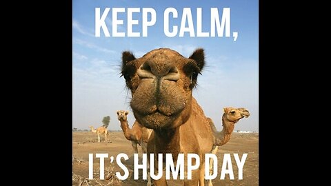 Hump Day 5/3/23