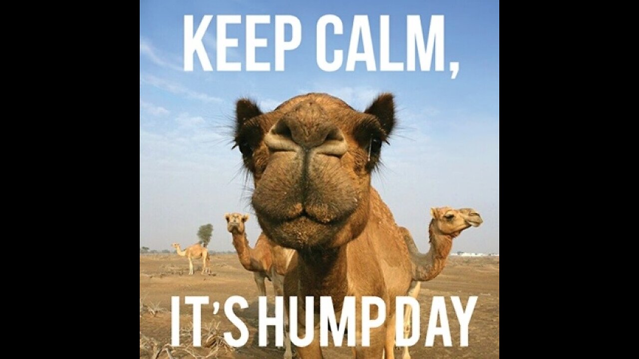 Hump Day 5/3/23