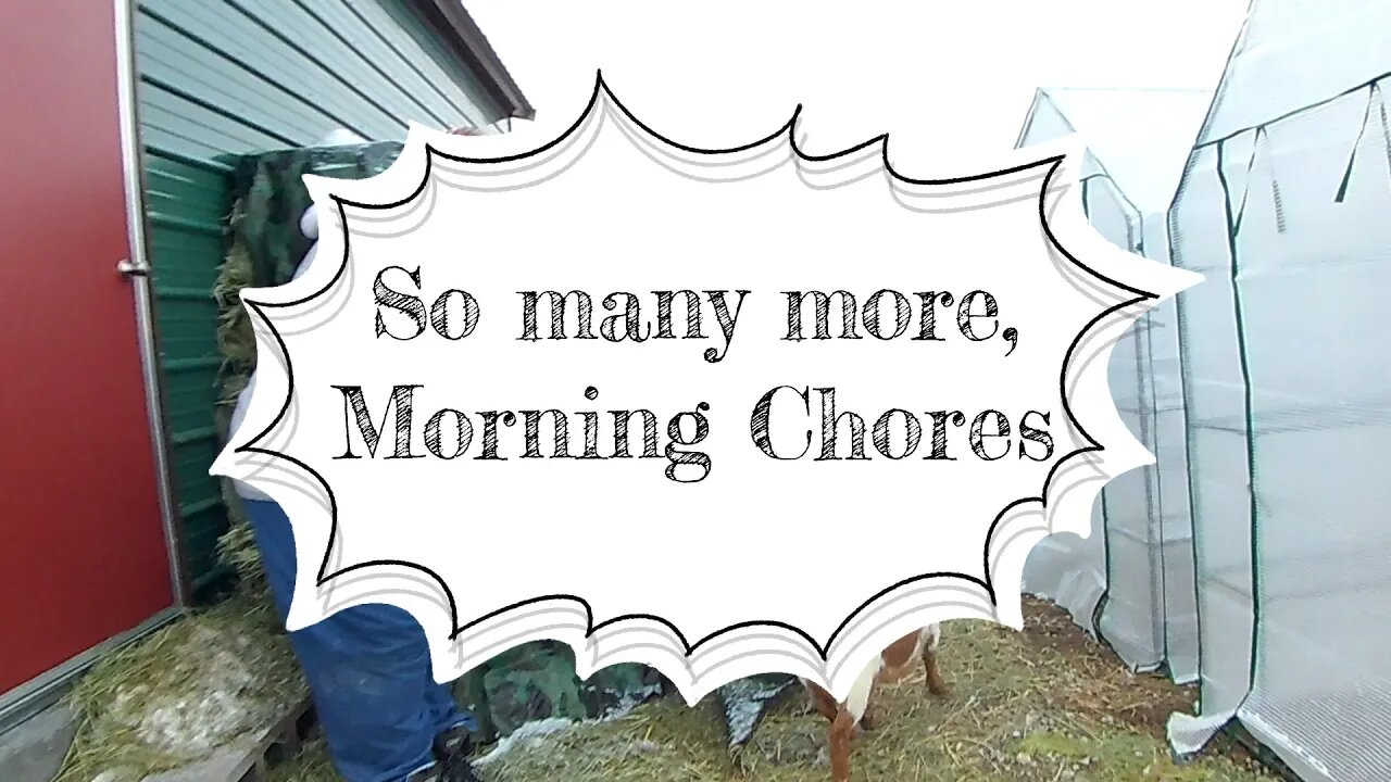 So many more, Morning Chores!