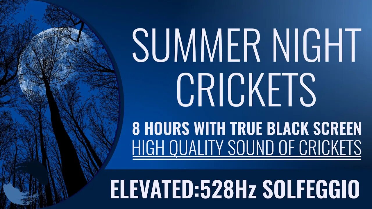 8 Hours Summer Night Crickets Elevated 528Hz True Black