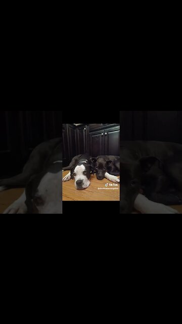 I'm Only Sleeping...