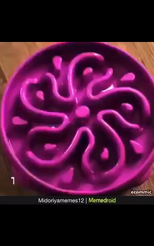 does ur dog act like this | part 2