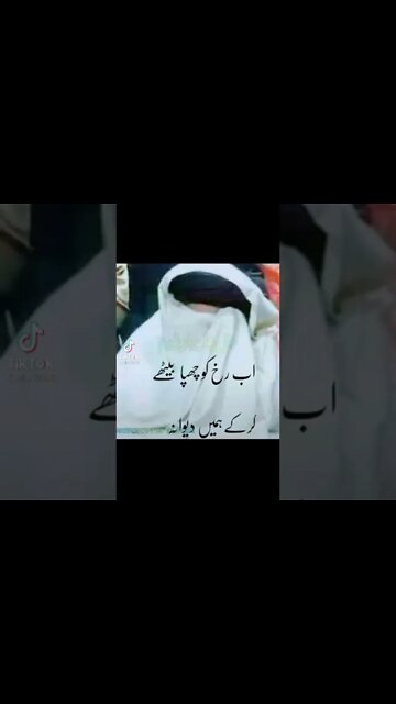 ameeer ul mujahideen allama Hafiz khadim hussan rizvi