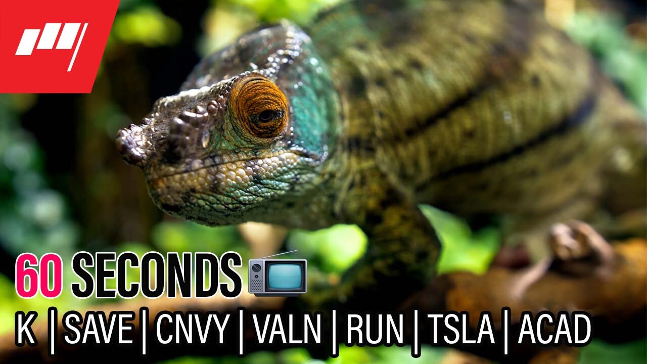 â˛ď¸60 Seconds $K $SAVE $CNVY $VALN $RUN $TSLA $ACAD see you at noon đ on TVđş more @MarketRebels đ´ââ ď¸