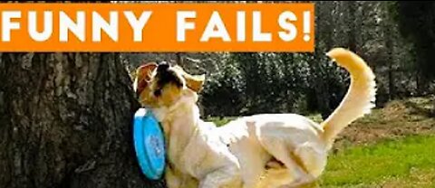 Funny animals fails (2023)-| funny animals videos😂