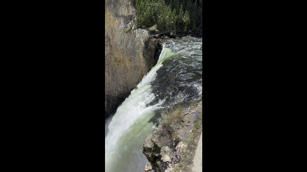 Grand Canyon Of Yellowstone lower falls