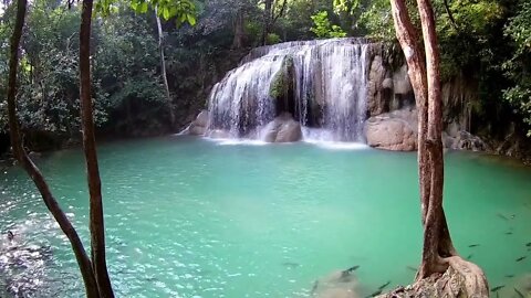 Relaxing Music With Nature Sounds Forest Creek