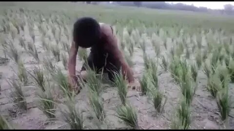 बारिश वाली माता का भगत #shorts 😂