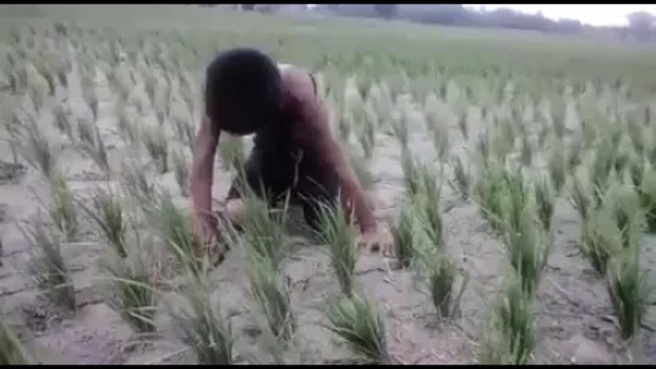 बारिश वाली माता का भगत #shorts 😂