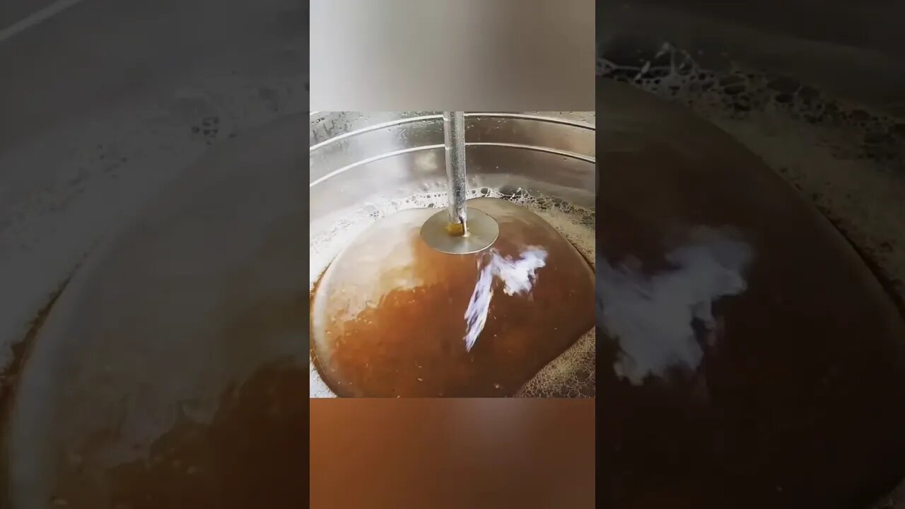 Brassagem de uma Belgian Gold Strong Ale Sbórnia