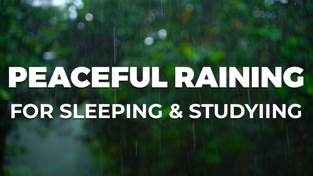 Relaxing Rain Sounds for Sleeping - Fall Asleep with the Sound of Rain and Thunder at Night