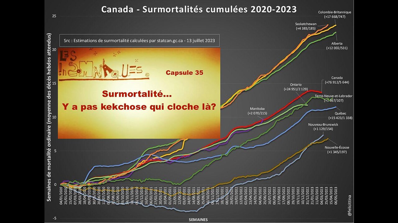 Capsule #35: Surmortalités