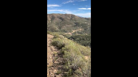 American Horseman Pct