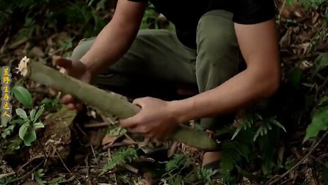 Man lives in the rain forest all year round and uses natural tree holes as shelter/Episode 2