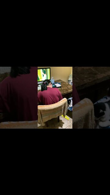 Shop Chronicles… It’s official shop cat is now just our cat #ShopCat #Shorts