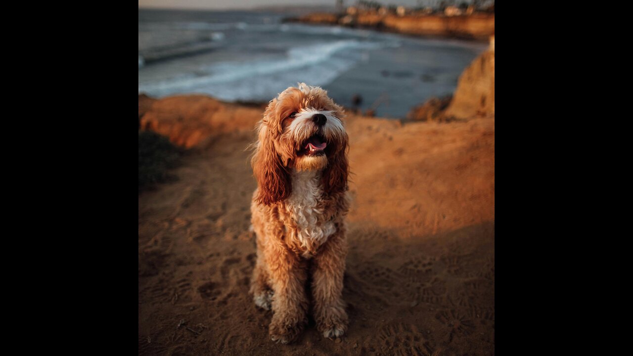 Fritz Springmeier BE WISE AS SERPENTS 1.09