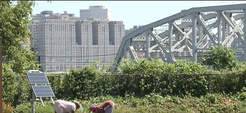 The Ohio City Farm, growing food and futures
