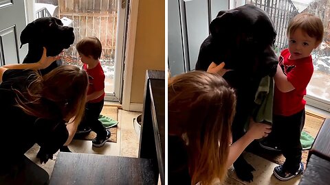 Toddler helps dry of wet doggy