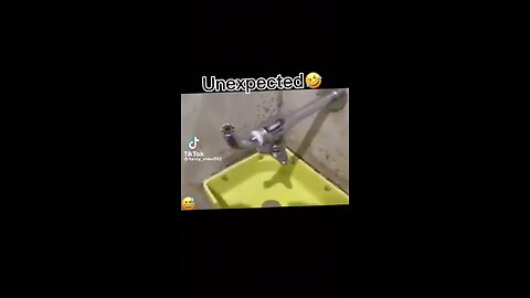 Funny videos