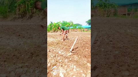 HD সুমন যখন কৃষক #farmer #farming #villagelifechallenge #village #villagelife #farmlife #farmers