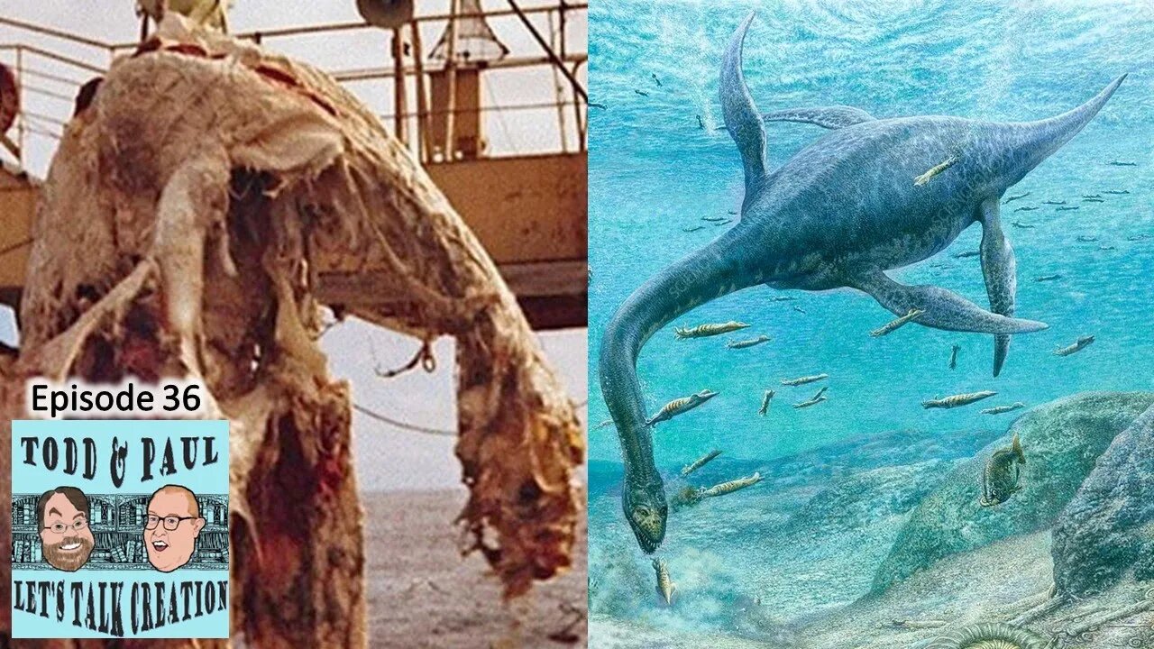 Episode 36: Living Plesiosaurs and Other Arguments Creationists Shouldn’t Use
