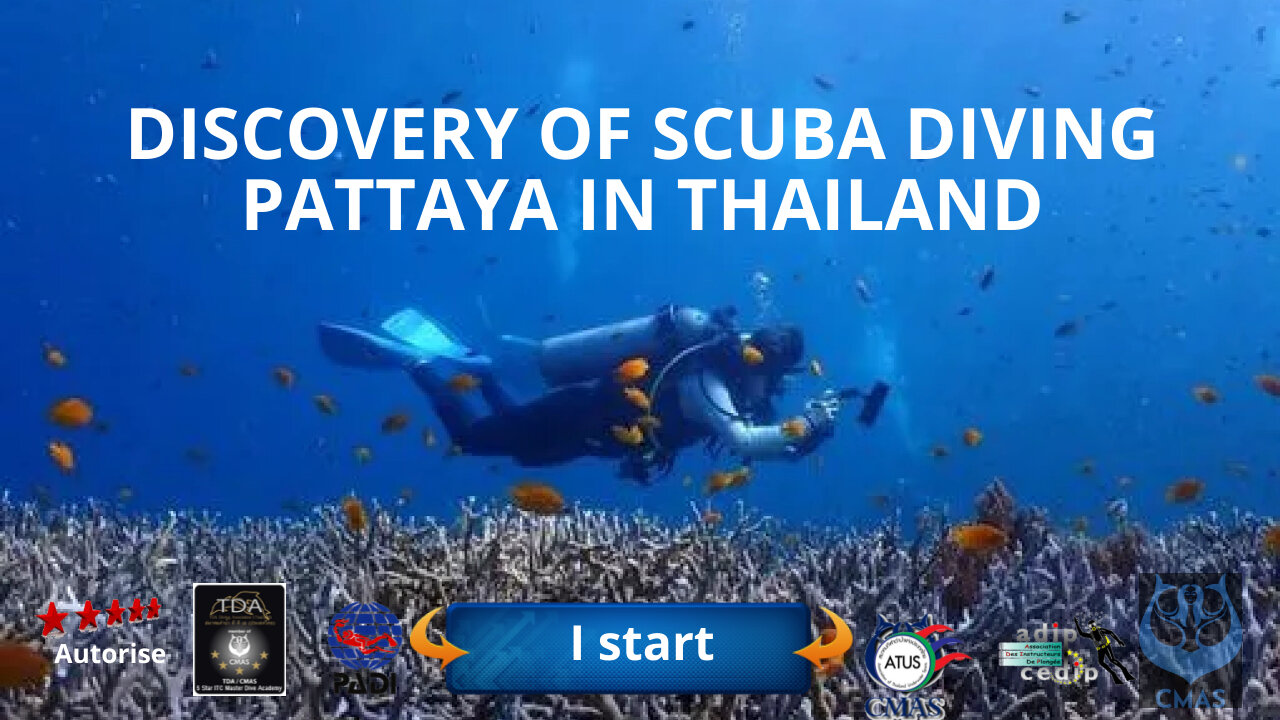 🤿 First discover scuba diving in Pattaya